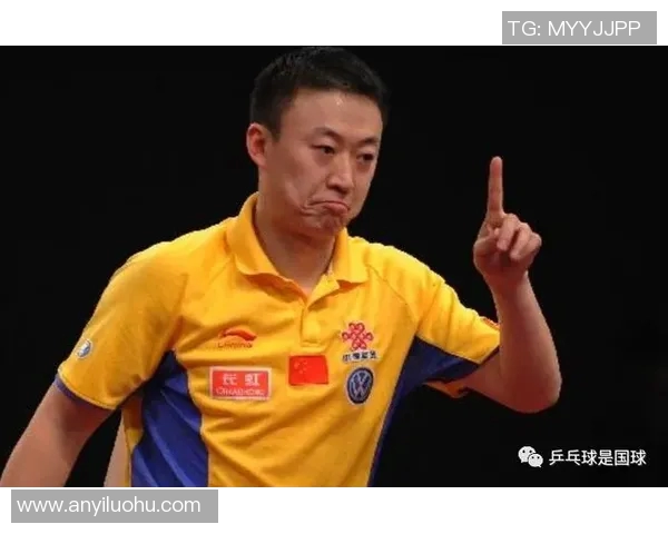 上海羽毛球队反击之路的得失与启示分析 上海羽毛球队反击之路的得失与启示分析