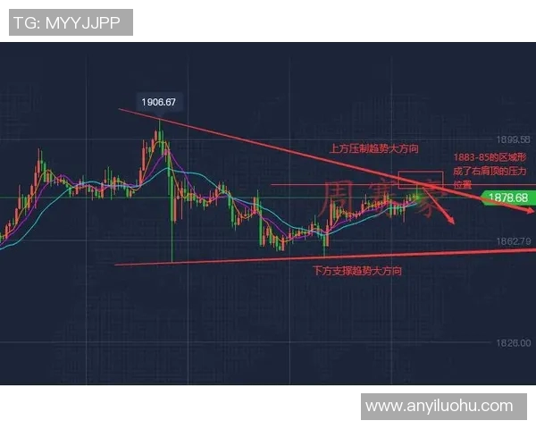 杭州乒乓球队战术解析与发展策略的深度探讨与展望 杭州乒乓球队战术解析与发展策略的深度探讨与展望